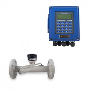 Flowsonic FS-301SW-C040 Line Tipi Ult.Debimetre