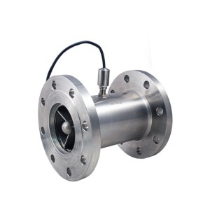 SM-100  304 SS Sayaç / Flanşlı