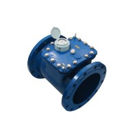 S-METER WP-SDC DN300 Soğuk Su Sayacı