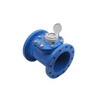 S-METER WP-SDC DN200 Soğuk Su Sayacı